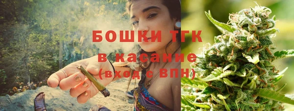 прущие грибы Алексин