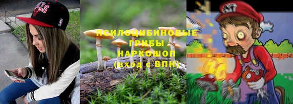 бошки Алексеевка