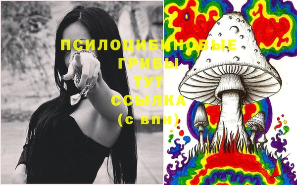 бошки Алексеевка