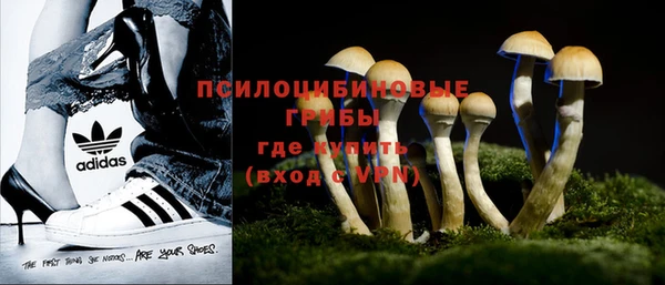бошки Алексеевка