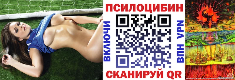 Псилоцибиновые грибы ЛСД  где найти наркотики  Чистополь 