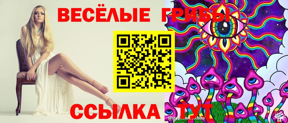 Чистополь  что такое   Вход с VPN  Псилоцибиновые грибы прущие грибы  Галлюциногенные грибы MAGIC MUSHROOMS 